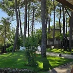 La Pinona - Acogedor En Estribaciones De La Sierra De Gredos - Casa 6 Personas Con Piscina En Avila בית נופש אל טיימבלו