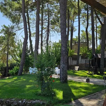 La Pinona - Acogedor En Estribaciones De La Sierra De Gredos - Casa 6 Personas Con Piscina En Avila 度假居 埃尔蒂恩夫洛