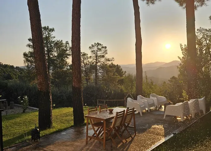 펜션 La Pinona - Acogedor En Estribaciones De La Sierra De Gredos - Casa 6 Personas Con Piscina En Avila *